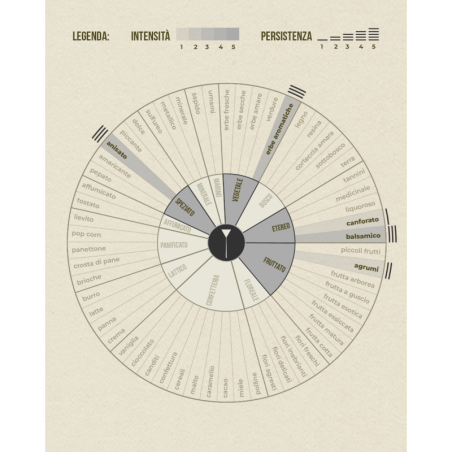 Oli di: Enotera, Lino, Pesce