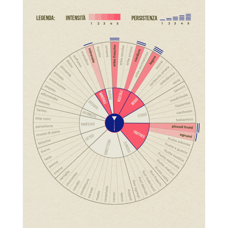 Olio di Germe di Grano