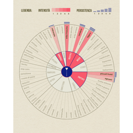 Olio di Germe di Grano