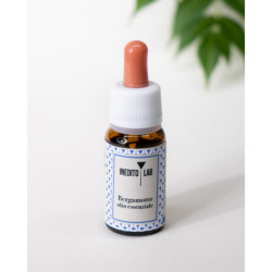 Rigenera del Monte 2