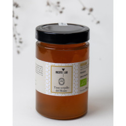 Rosa Canina del Monte 2