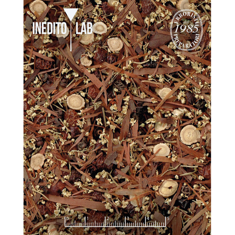 Tè verdi di primavera: il nuovo raccolto del tè Shincha dal Giappone