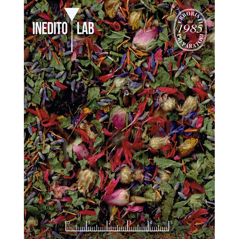 Theobroma cacao L. & Ras El Hanout del Monte