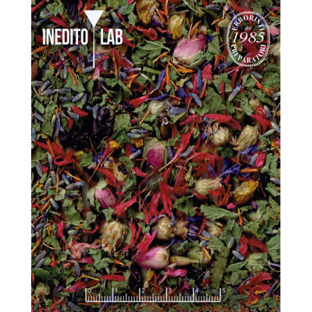 Theobroma cacao L. & Ras El Hanout del Monte