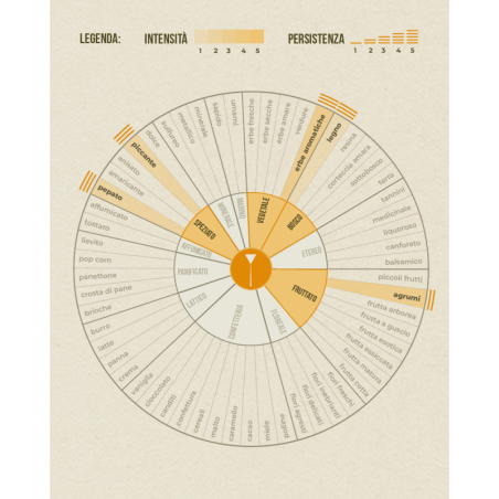 Tisana Armonia del Monte
