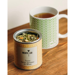 Tisana Armonia del Monte 2